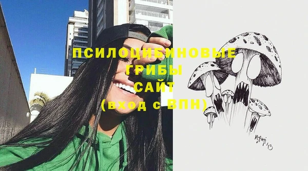 экстази Лагань